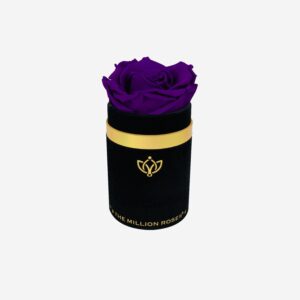 Single Black Suede Box | Bright Purple Rose