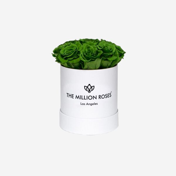 1r_093e8530-d04c-45a4-92e8-d407ccd06085.jpg 1r_093e8530-d04c-45a4-92e8-d407ccd06085.jpg