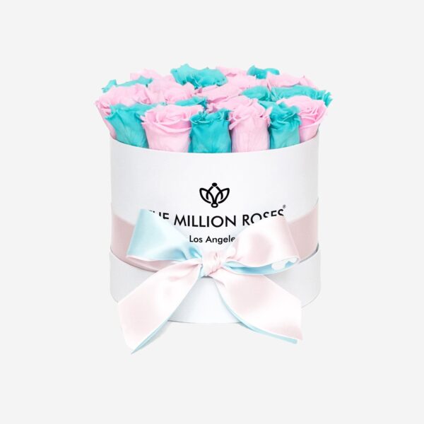 2_3copy_d48bc9b3-545e-4eb5-937a-d3892a930fcb.jpg 2_3copy_d48bc9b3-545e-4eb5-937a-d3892a930fcb.jpg