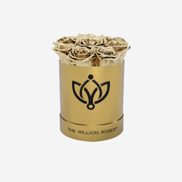 2_65c212e5-25b0-49f1-9ad5-75246b8057cd.jpg 2_65c212e5-25b0-49f1-9ad5-75246b8057cd.jpg