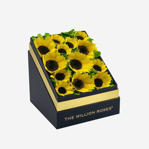 Blackbox_sunflower.jpg Blackbox_sunflower.jpg