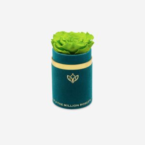 Single Dark Green Suede Box | Light Green Rose