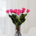LongStemRoses_Done_HotPink.jpg