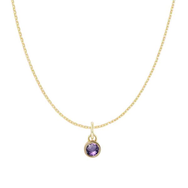 amethyst-birthstone-charm-necklace-gold.jpg amethyst-birthstone-charm-necklace-gold.jpg