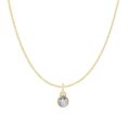 diamond-birthstone-charm-necklace-gold.jpg