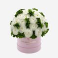 lightpink_buttercupwhite.jpg