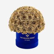 royalblue_gold_bbc9ddf8-adad-4a9f-9f62-c92862e16650.jpg