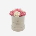 summersandbasic_lightpink_white_12f264cc-74ba-4e26-9d21-f542465cf2ae.jpg