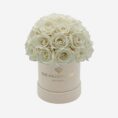 summersandbasic_white_6fab1c57-c265-48d9-a8dd-7c66edc63f5e.jpg