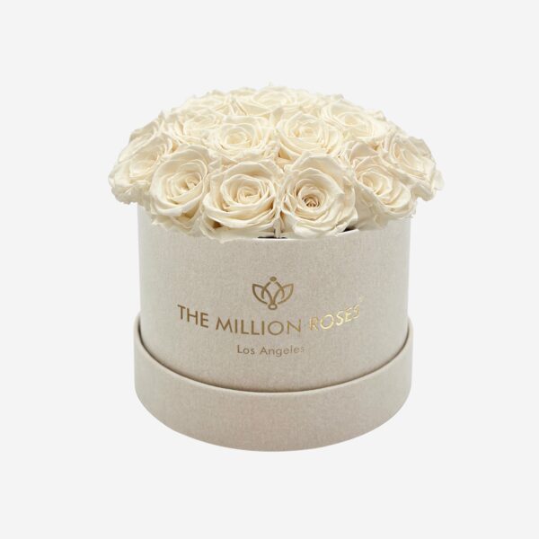 summersandclassic_white_07087942-ab7e-47b3-8204-9c17007a0893.jpg summersandclassic_white_07087942-ab7e-47b3-8204-9c17007a0893.jpg