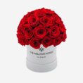white_red_54a868fa-ad1b-4c8d-bba6-28955fb3a299.jpg